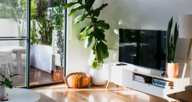 Salon contemporain avec de grandes fenêtres, des plantes et des meubles élégants.